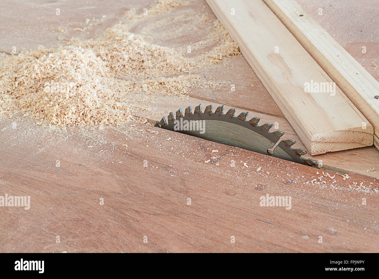Circular saw cutting wooden plank Stock Photo