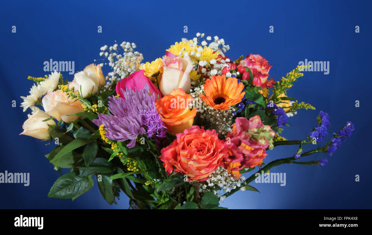 Close up of bouquet of flowers on dark blue background Stock Photo