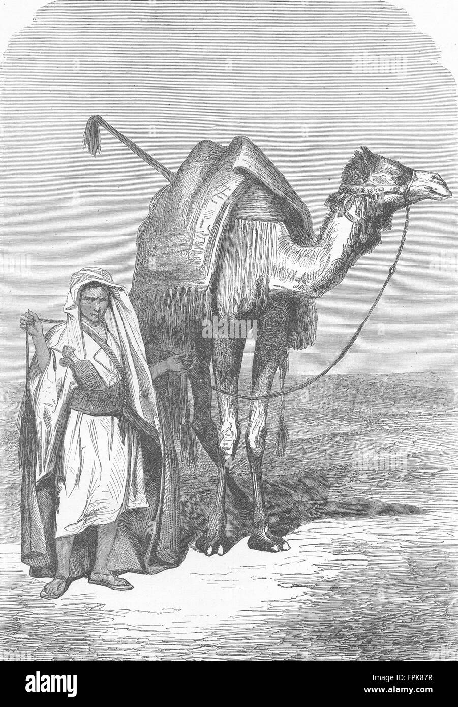 EGYPT: The Red Sea: Camel driver, antique print 1880 Stock Photo - Alamy