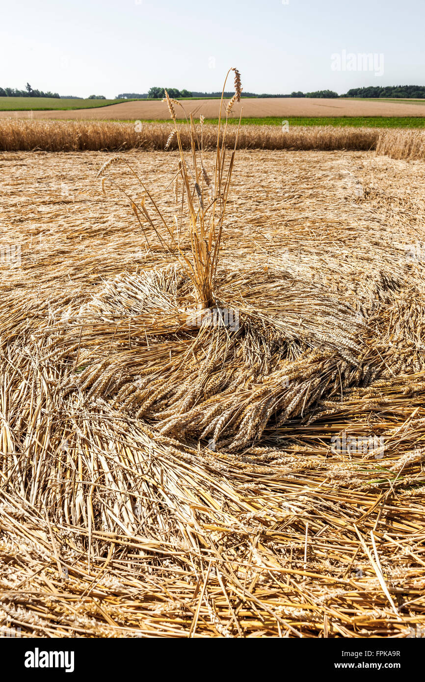 In crop circle hi-res stock photography and images - Alamy