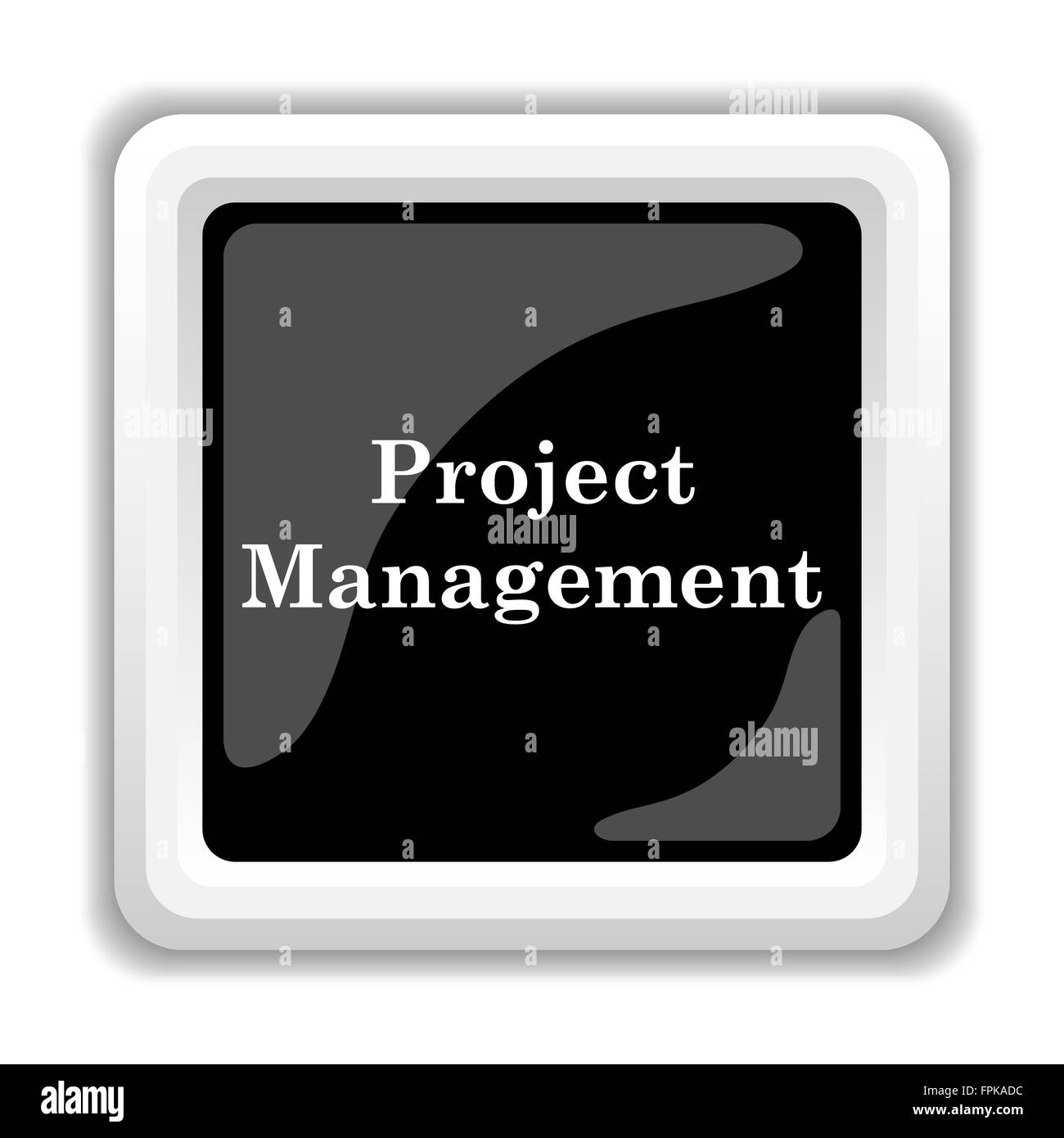 Project management icon. Internet button on white background Stock ...