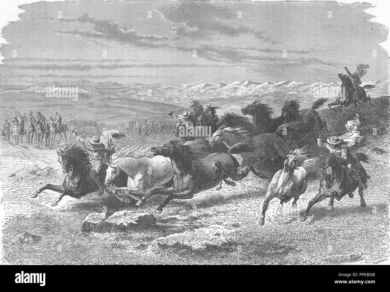 ARGENTINA: Catching horses with Lasso, antique print 1880 Stock Photo