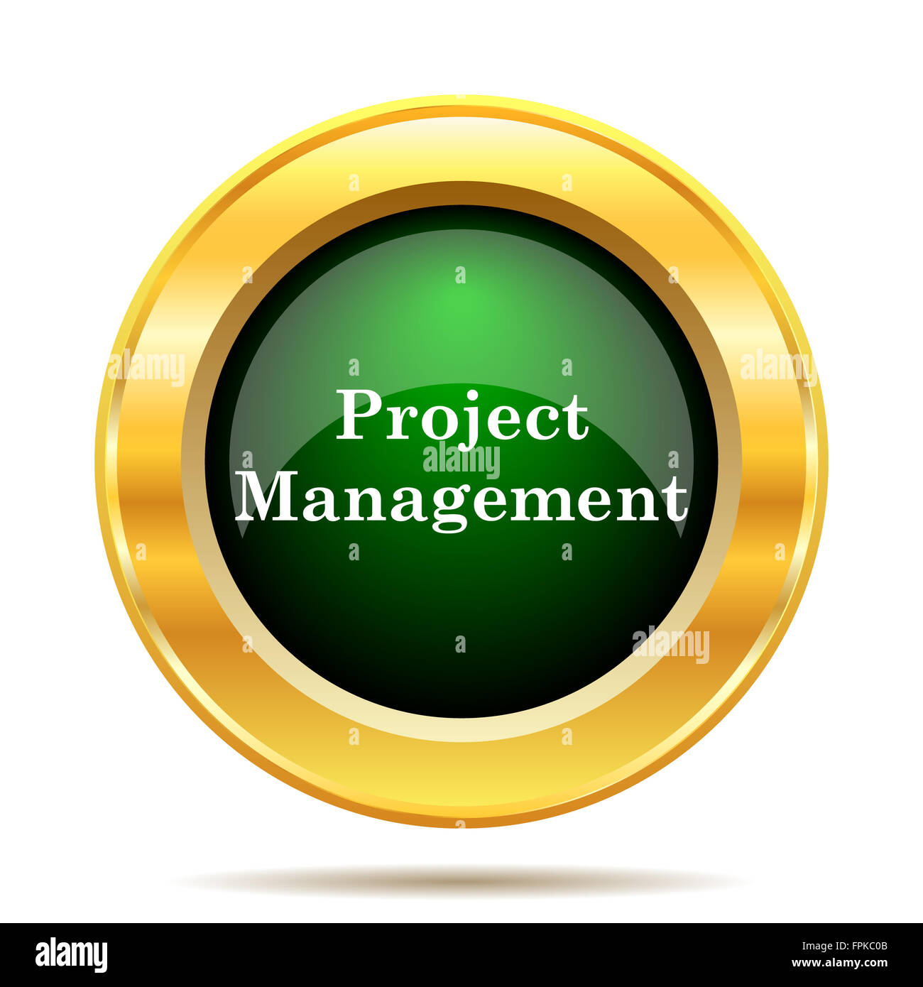 Project management icon. Internet button on white background Stock ...