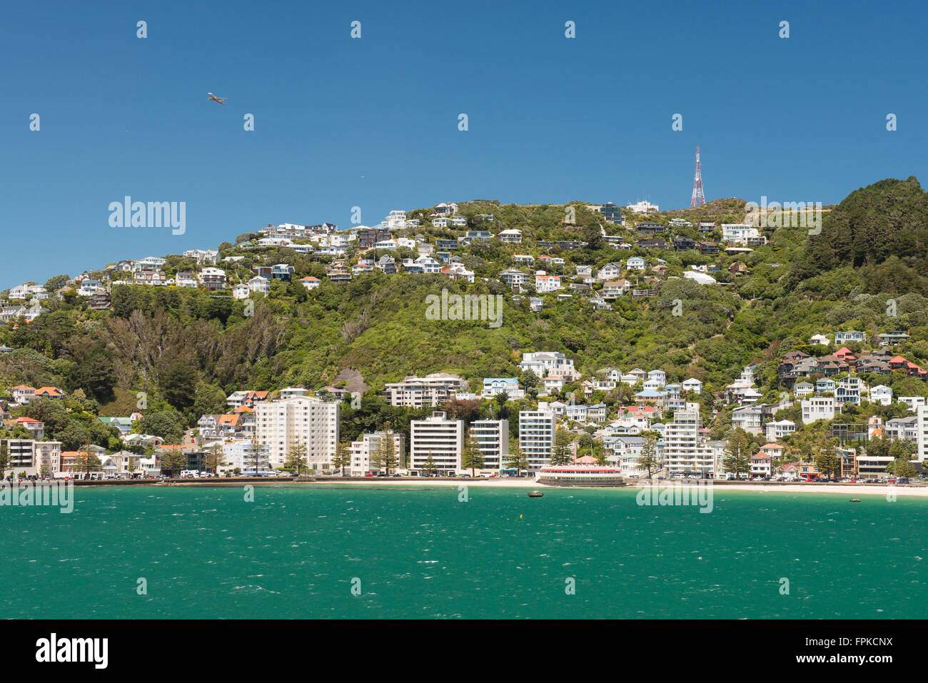 Wellington City residential area on Mount Victoria - view from the sea, New Zealand Stock Photo
