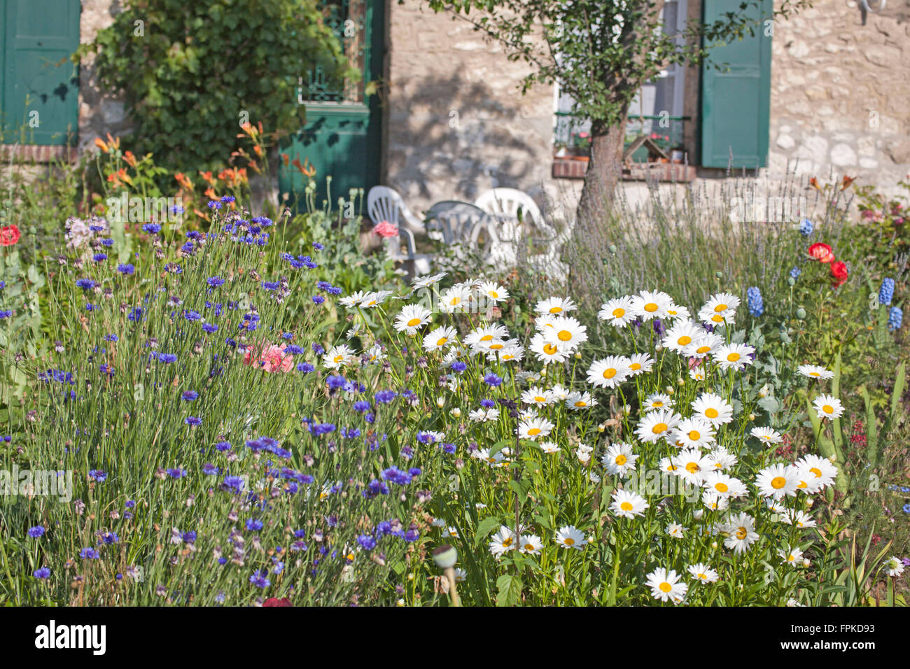 Cottage garden with flowers Stock Photo - Alamy
