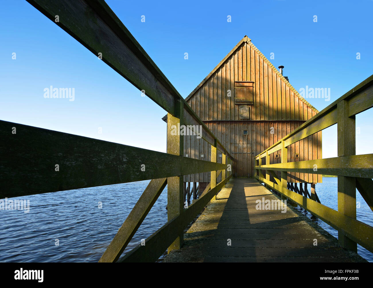 Germany, Thuringia, Saale-Orla-Kreis region, natural reserve Thuringian Schiefergebirge Obere Saale, Plothener pond area, stilt Stock Photo