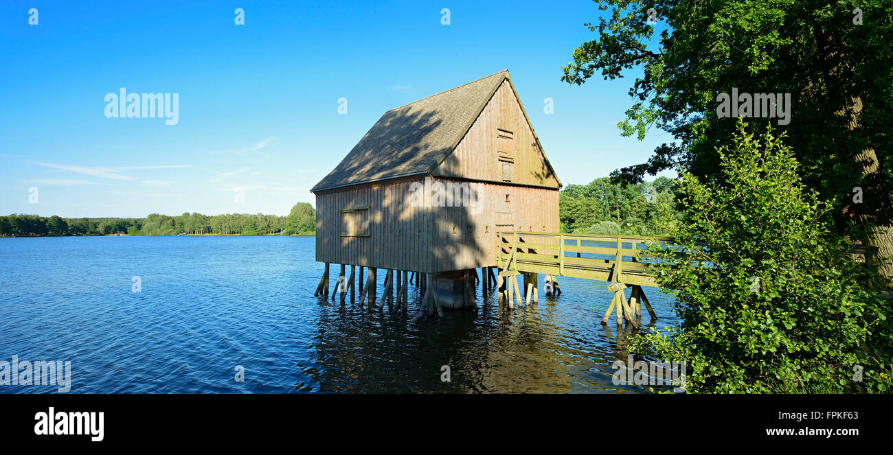 Germany, Thuringia, Saale-Orla-Kreis, nature reserve Thuringian Schiefergebirge / Upper Saale, Plothen pond area, pile dwelling Stock Photo