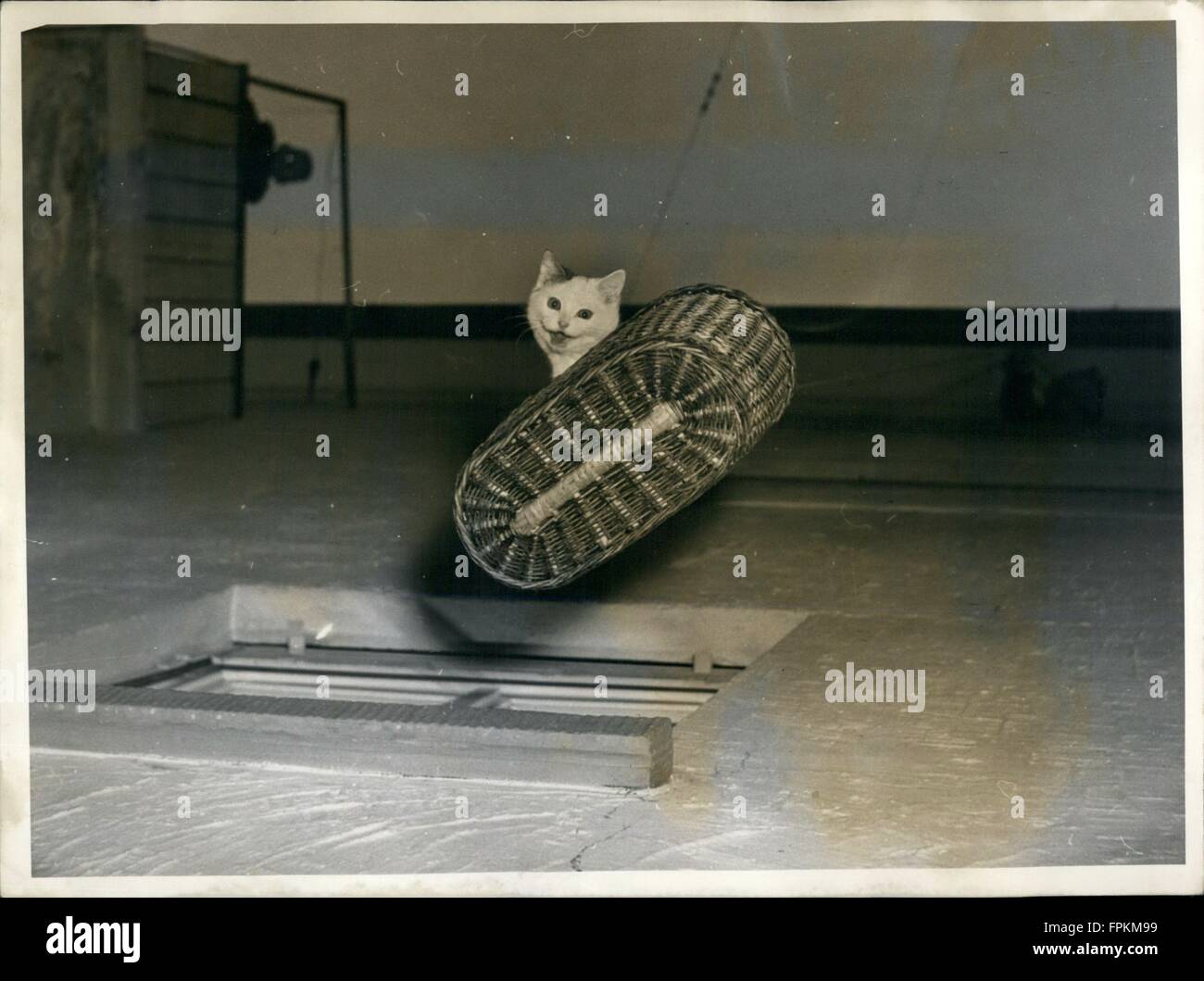 1959 The ''cat elevator'' That's not happening everyday that