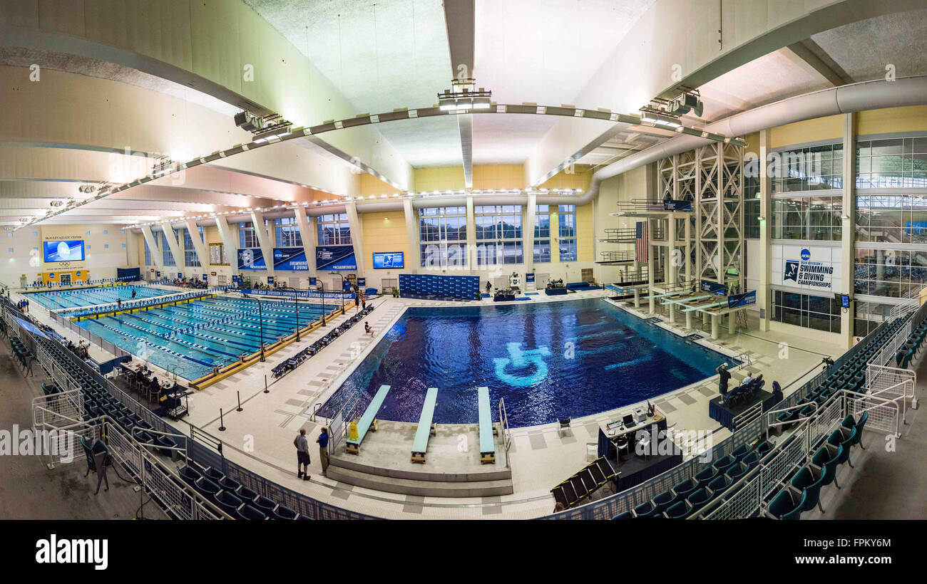 a-panorama-during-the-ncaa-womens-swimmi