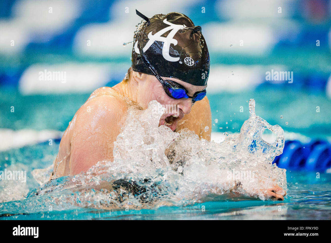 Alabama swimmer Bridget Blood during the NCAA Women's Swimming and ...