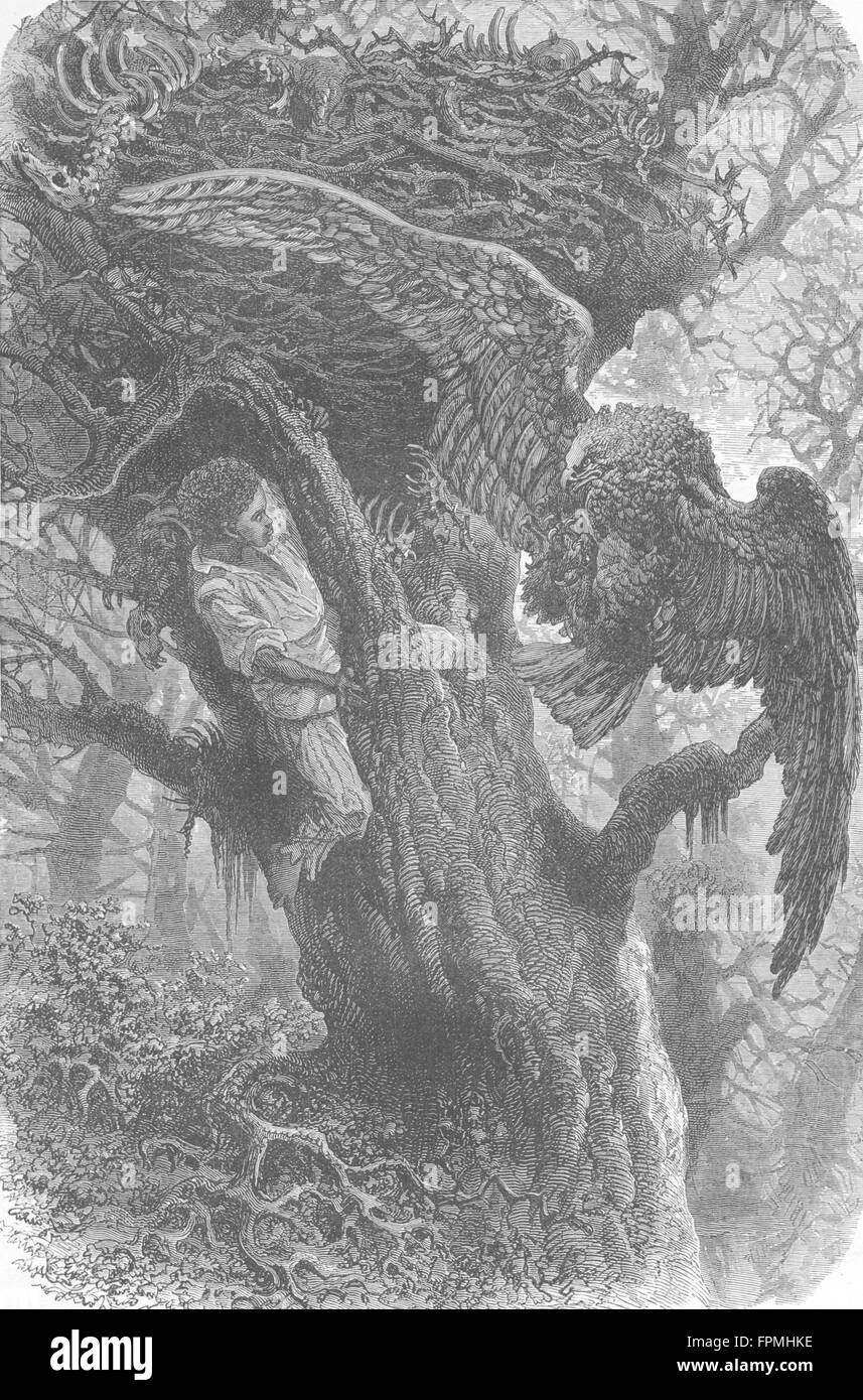 SPAIN: Andalusia: Dangerous Bird-nesting, antique print 1880 Stock Photo