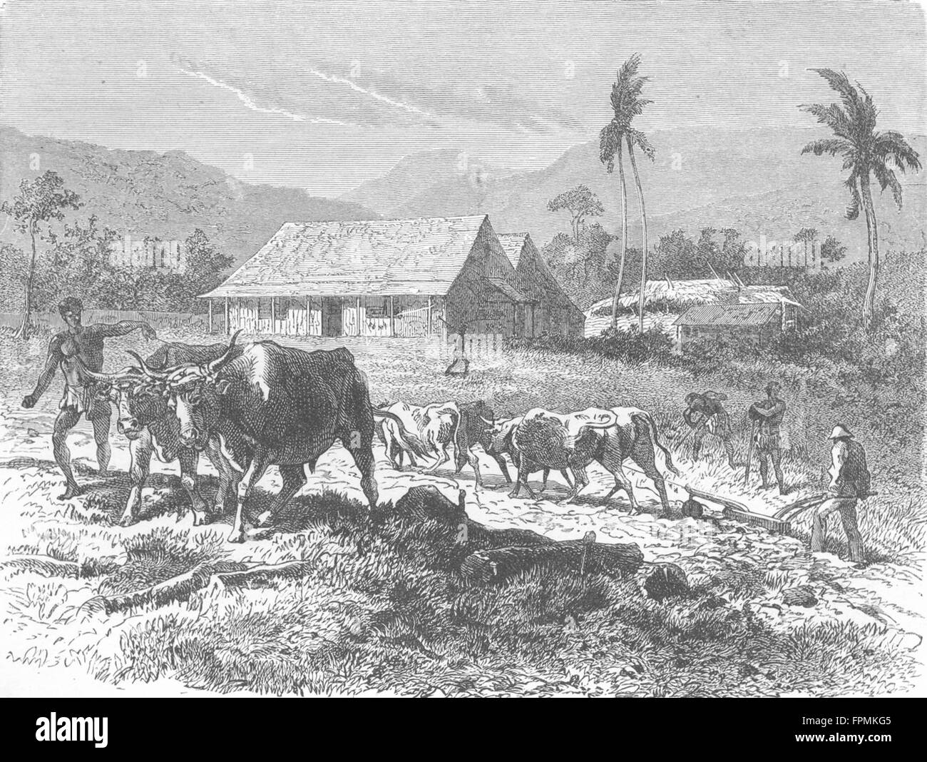 19th century farm life hires stock photography and images Alamy