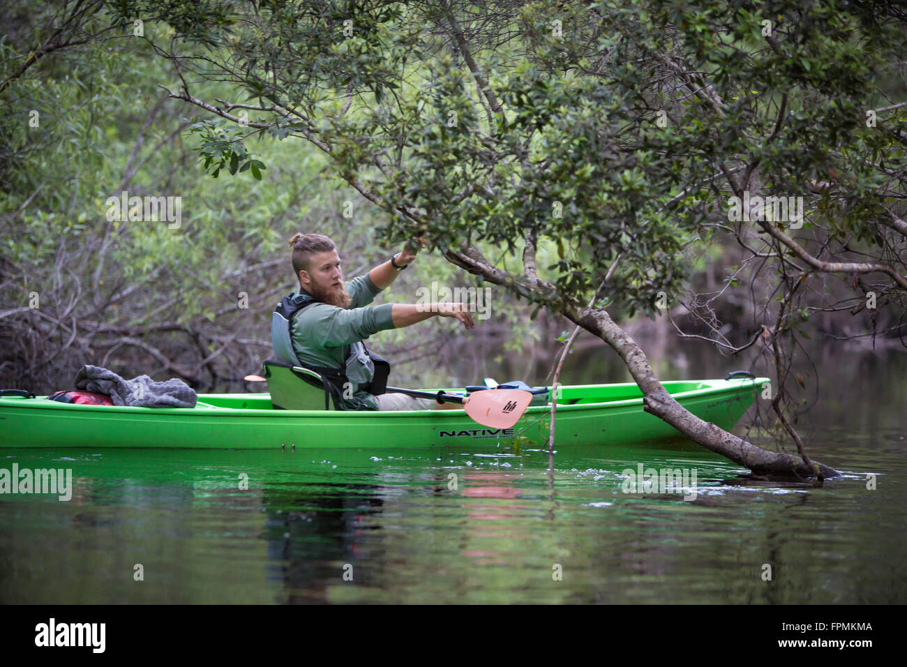 Nature guide Dan Camp leading a Kayak tour of Tunnel River in Everglades National Park, Florida, USA Stock Photo