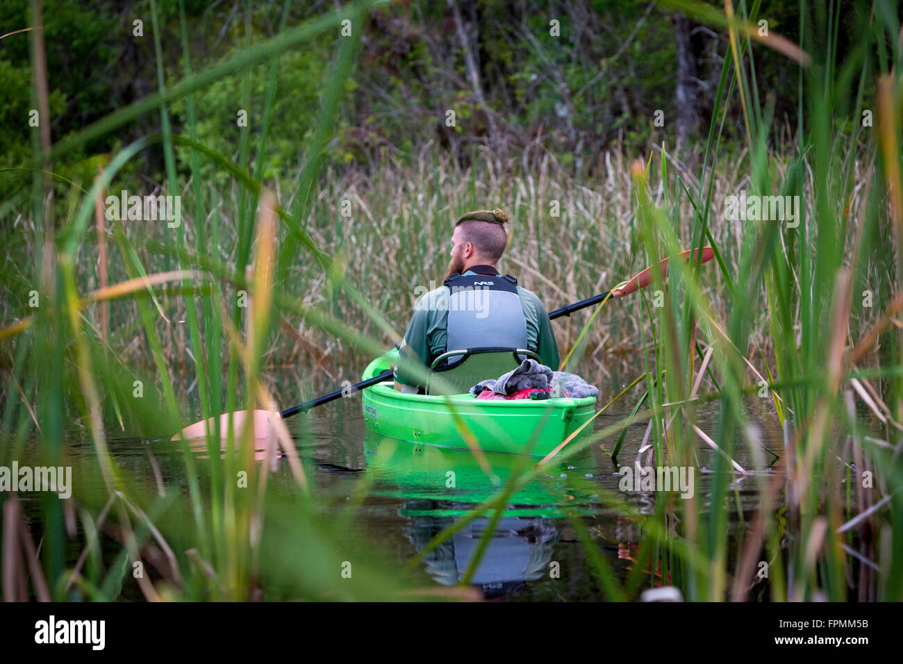 Nature guide Dan Camp leading a Kayak tour of Tunnel River in Everglades National Park, Florida, USA Stock Photo