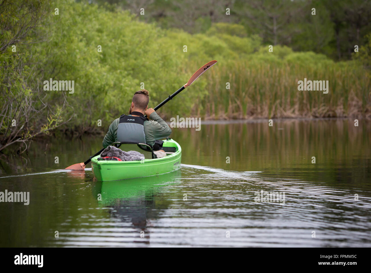 Nature guide Dan Camp leading a Kayak tour of Tunnel River in Everglades National Park, Florida, USA Stock Photo