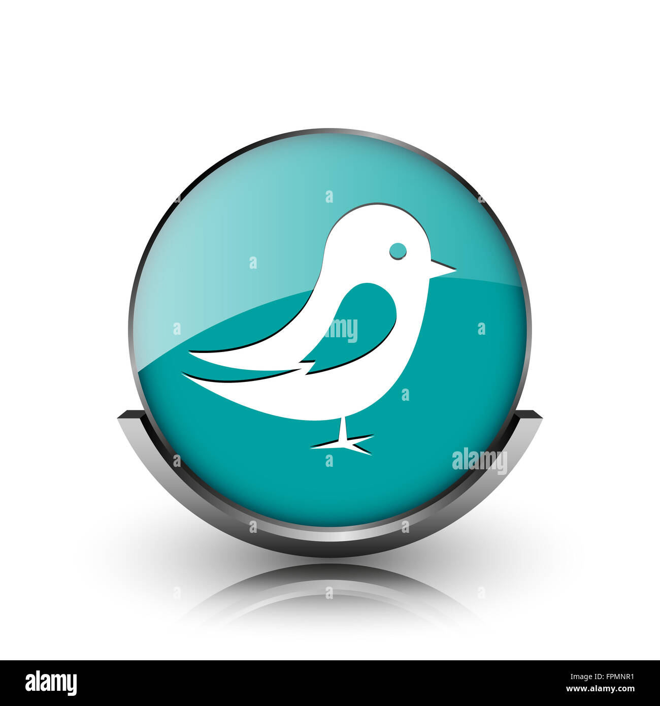 Bird icon. Metallic internet button on white background Stock Photo - Alamy