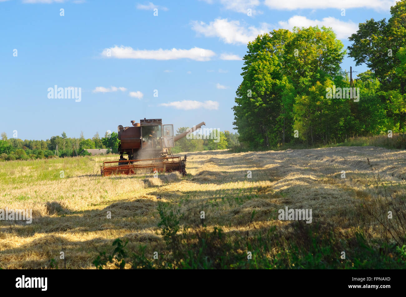 Old soviet combine harvester working in a field, harvest time concept Stock Photo