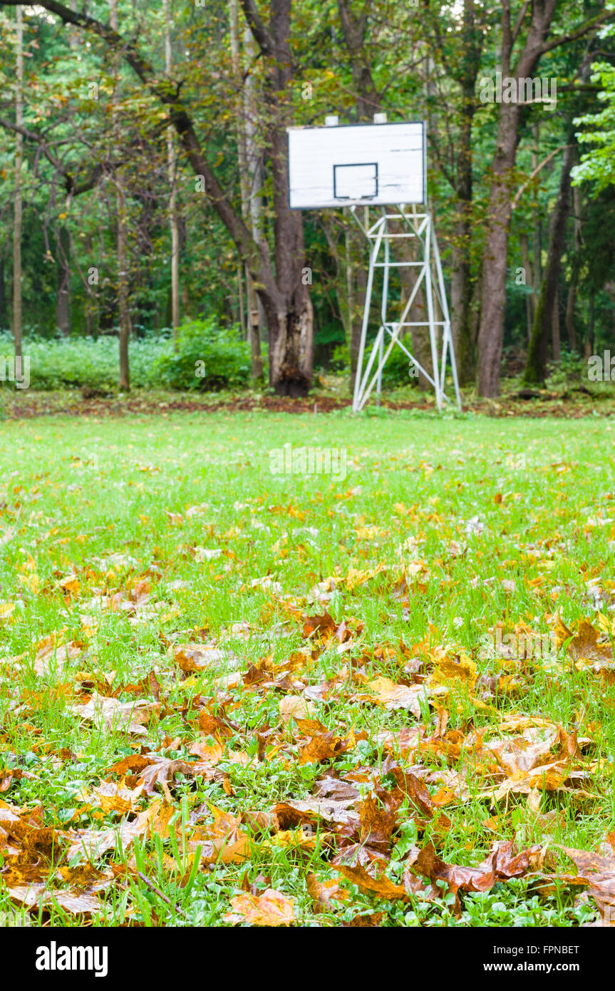 Blurred image of abandoned street basketball hoop with autumnal foreground, off season sport concept Stock Photo