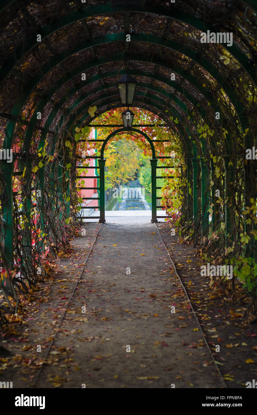 Inside arch with autumnal time lianes and lanterns Stock Photo