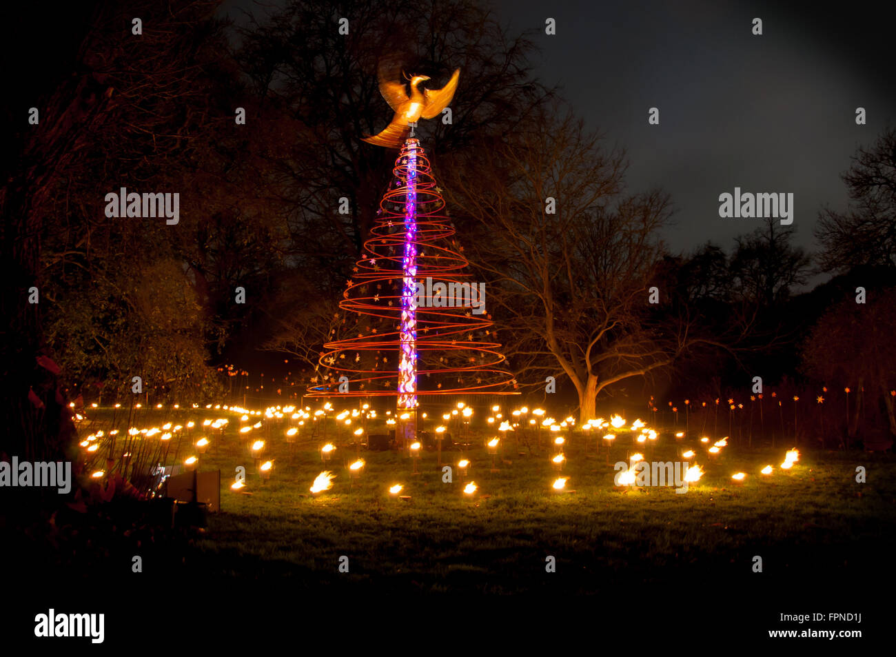 Metal Xmas tree and phoenix bird christmas xmas seasonal illuminations lighting Kew Gardens, London UK. Stock Photo