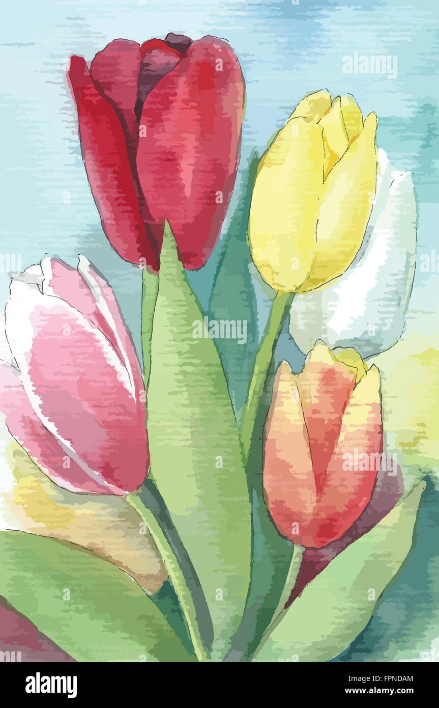 Vector illustration of tulips. Watercolor floral illustration Stock ...