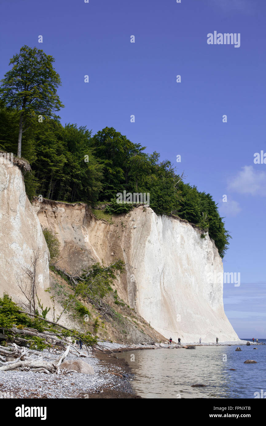 Chalk cliffs in Sassnitz Stock Photo Alamy