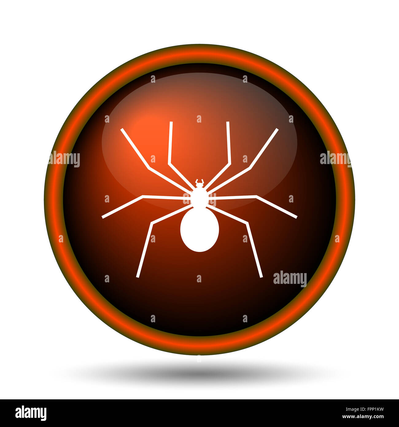 Spider icon. Internet button on white background Stock Photo - Alamy