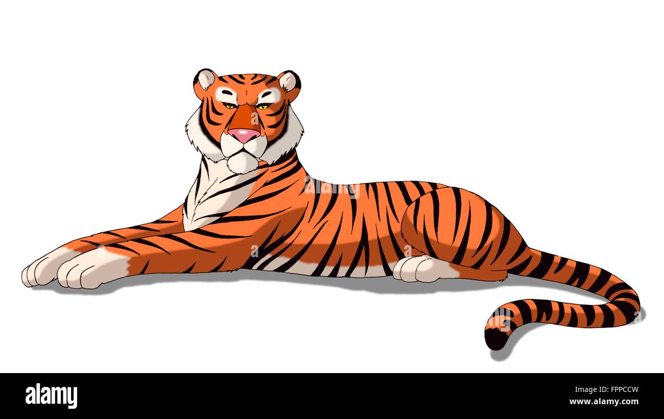 Bengal Tiger Isolated on White Background Stock Photo - Alamy