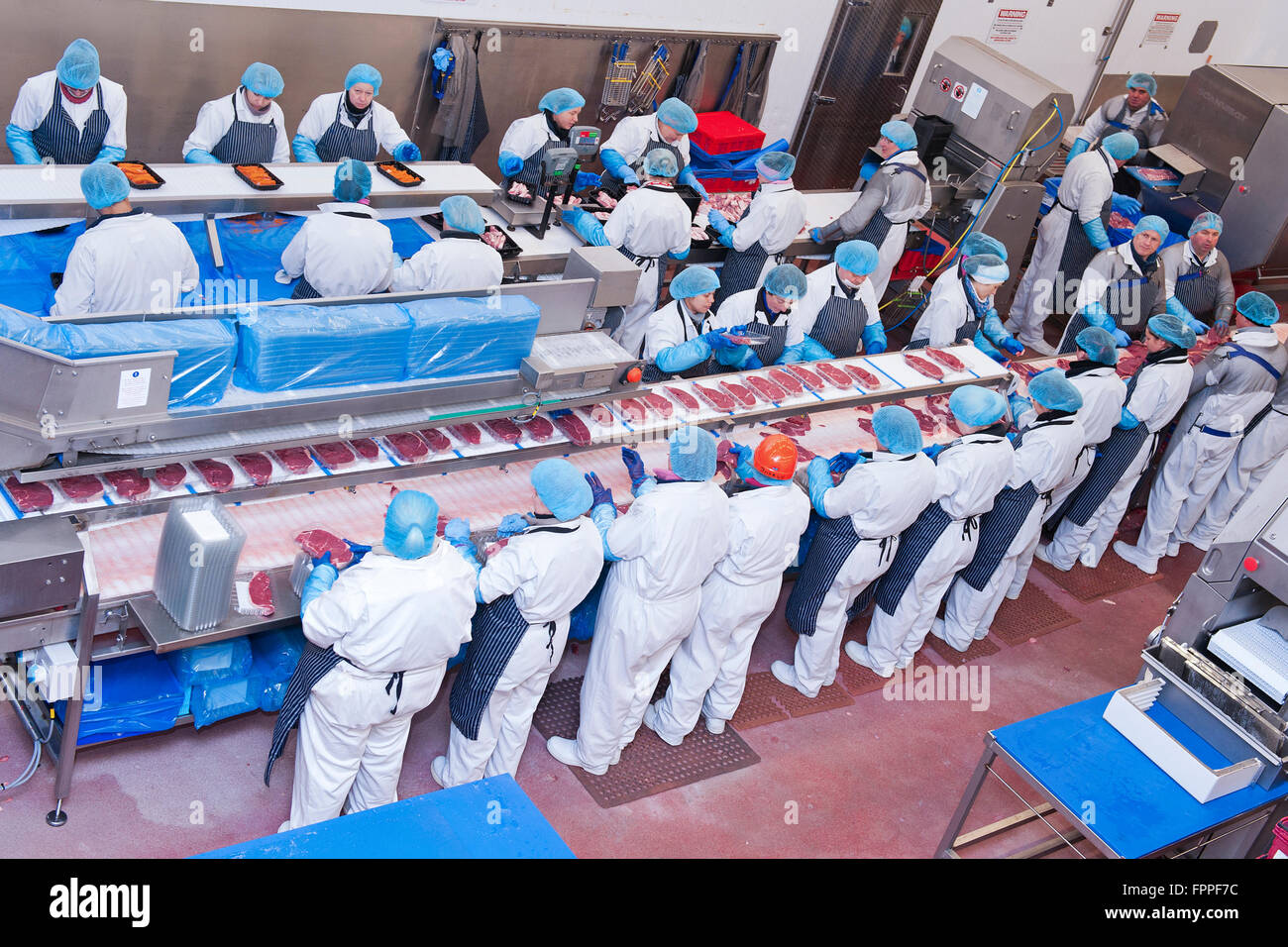 Factory workers on a production line package the meat products for