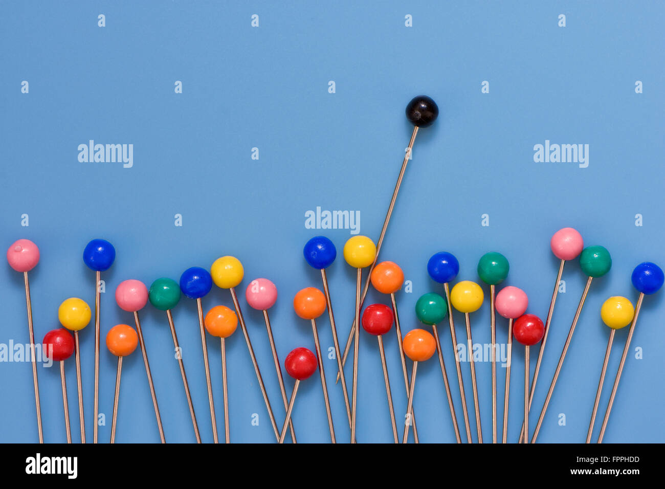Colourful berry pins on blue background with odd black pin sticking out showing concept of standing out from the crowd Stock Photo