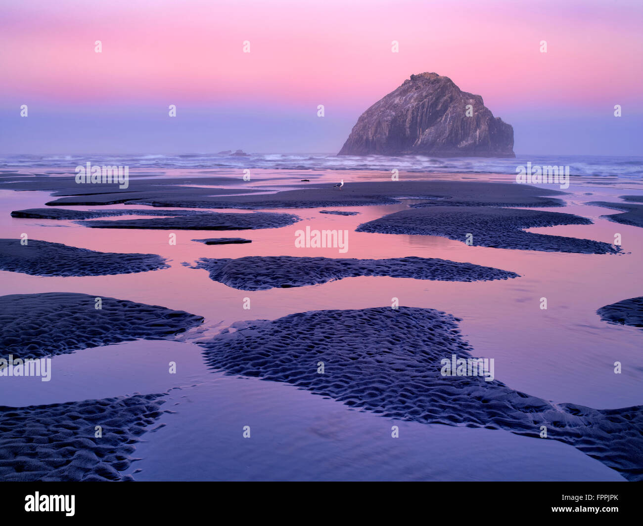 Low tide pools and seastacks reflecting sunrise. Bandon Beach. Oregon Stock Photo