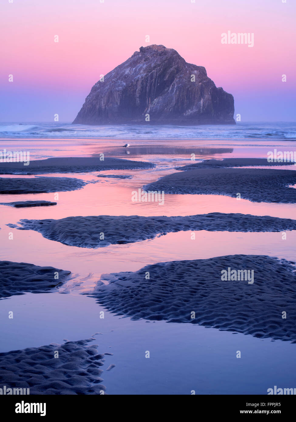 Low tide pools and seastacks reflecting sunrise. Bandon Beach. Oregon Stock Photo