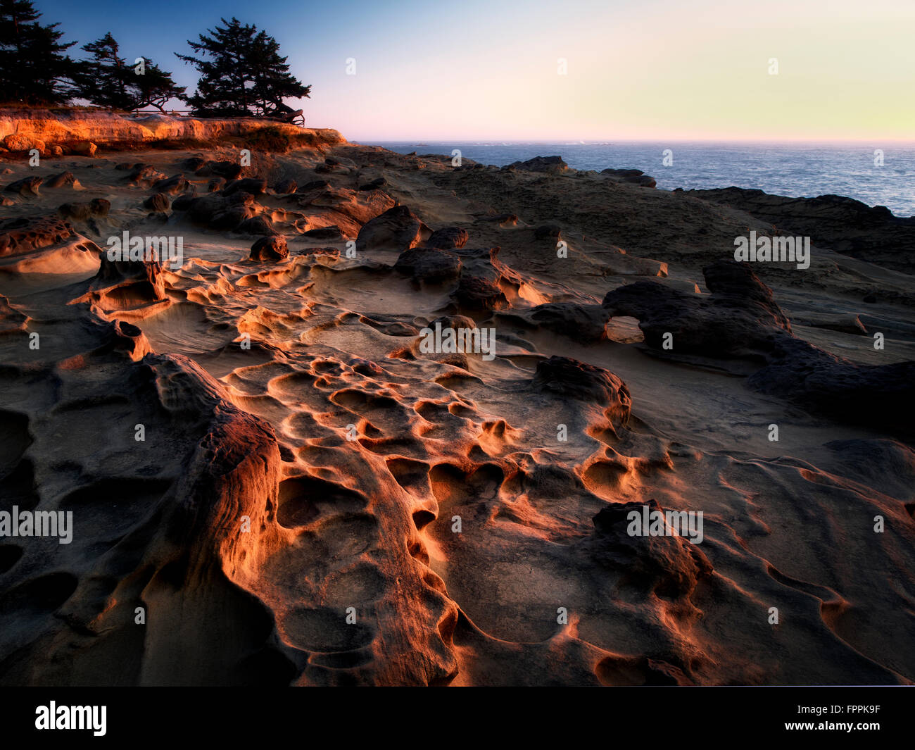 Sandstone rock formations and setting sun at Shore Acres State Park, Oregon Stock Photo