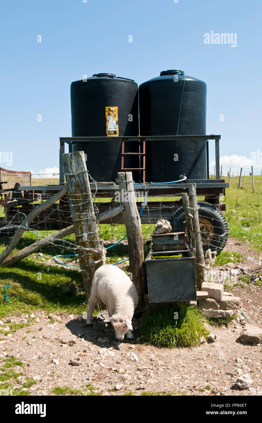 Water bowser on the South Downs in East Sussex used to feed a drinking trough for livestock Stock Photo