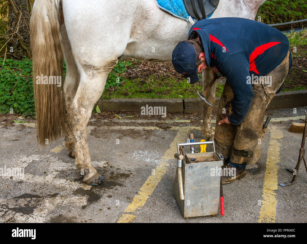 Farrier shoeing horse hires stock photography and images Alamy