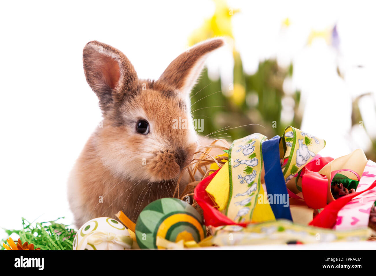 Colorful rabbit with Easter eggs on white background Stock Photo