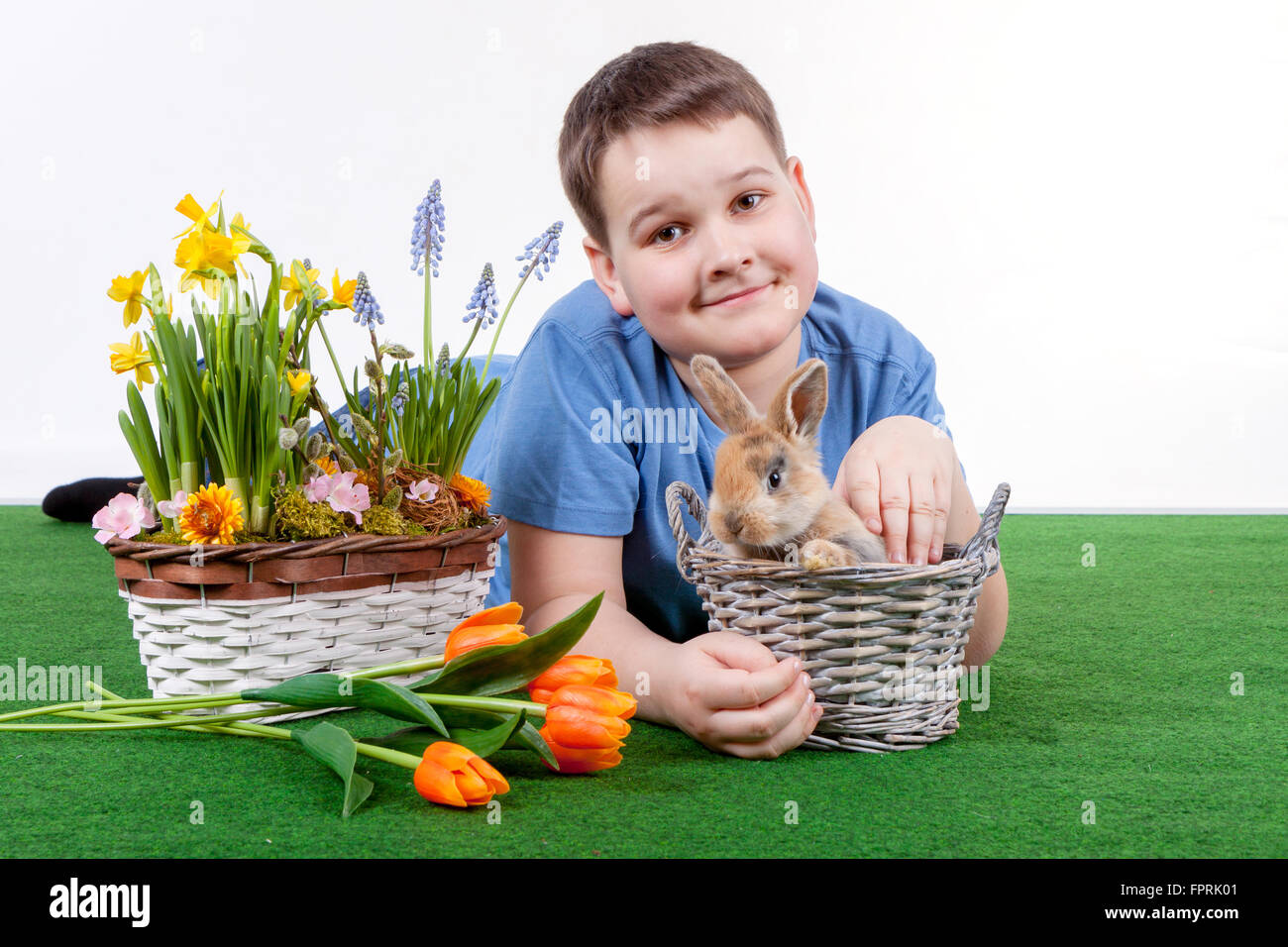 Young boy with colorful rabbit and spring flower on white background. Stock Photo