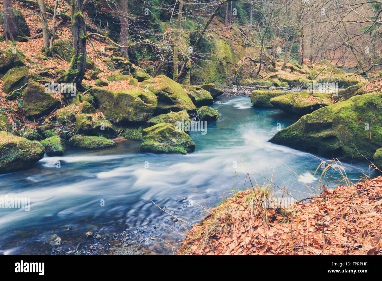 river in forest landscape during autumn, vintage filtered Stock Photo