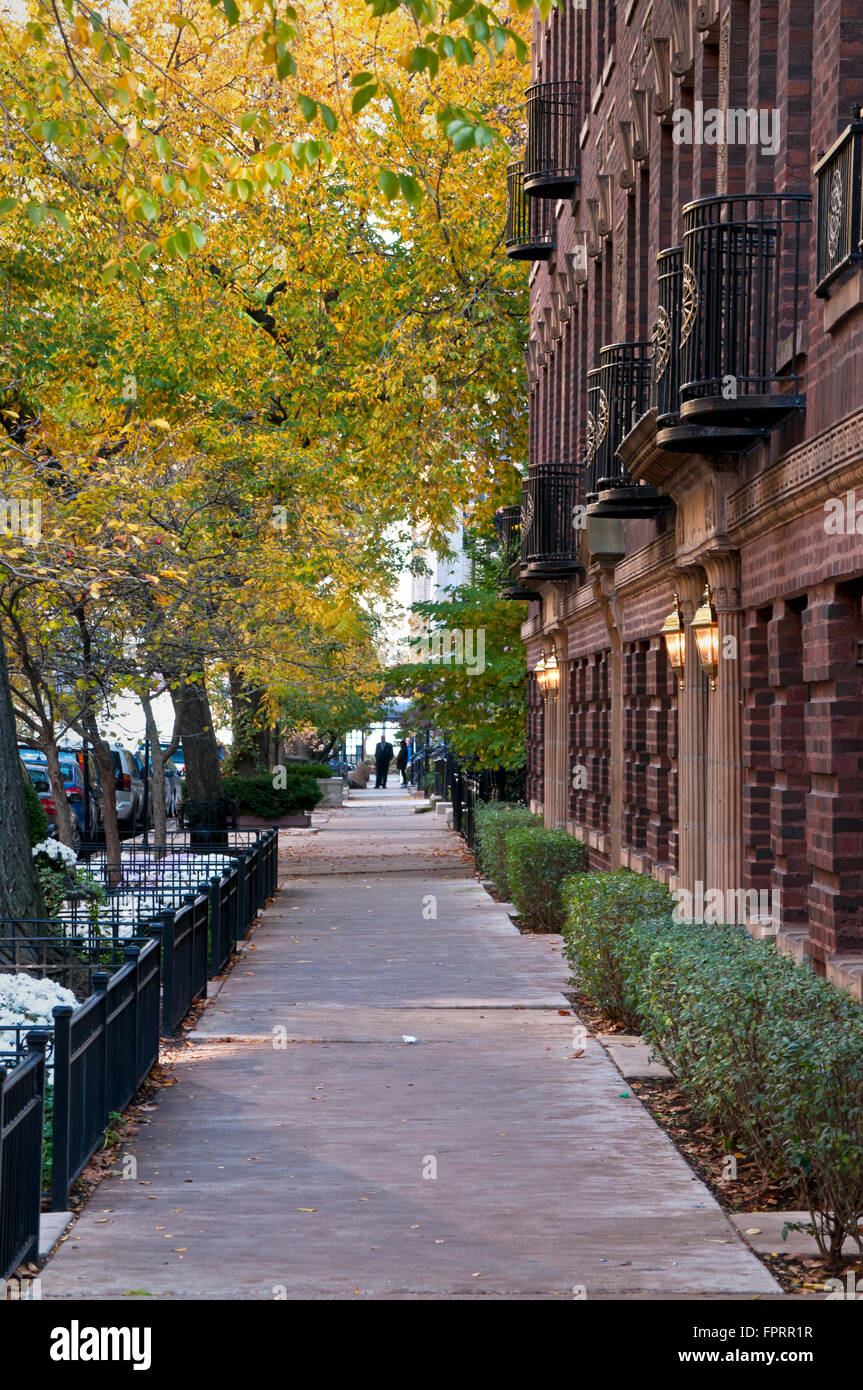 Autumn color on the city streets of an urban neighborhood in downtown Chicago, Illinois. Stock Photo