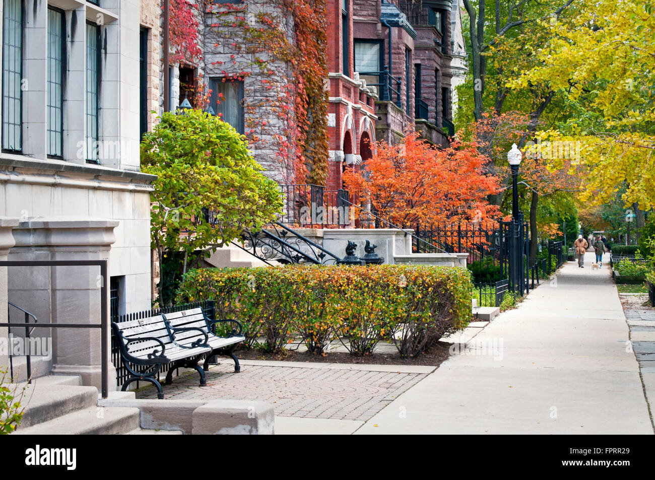 Autumn color on the city streets of an urban neighborhood in downtown Chicago, Illinois Stock