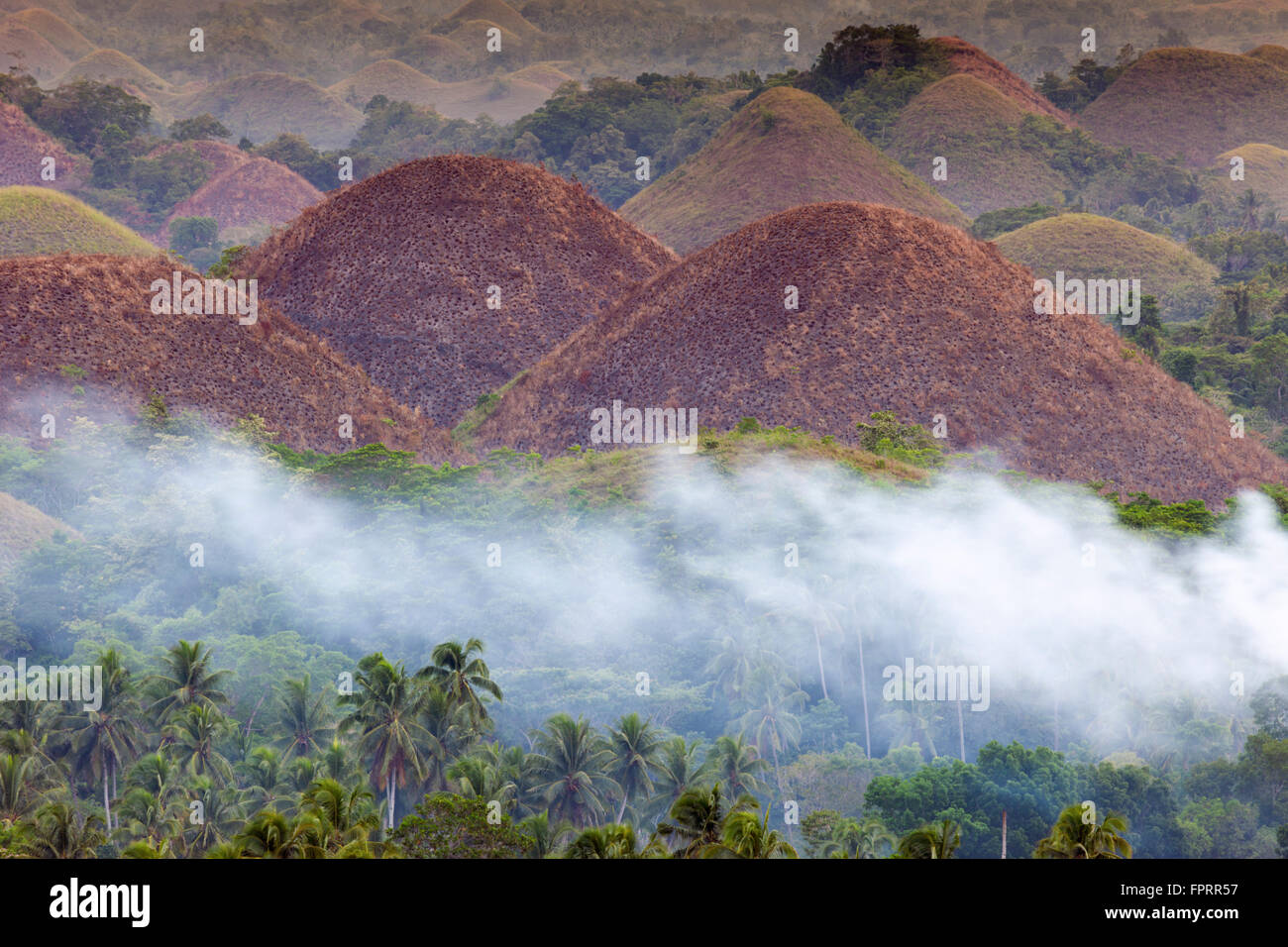 Philippines, Visayas, Bohol, the chocolate hills, karst domes turned a chocolate color during the burning season Stock Photo