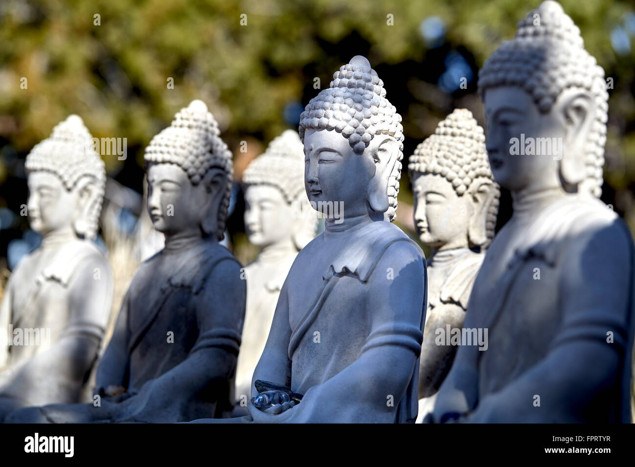 figures of Gautama Buddha in quiet meditation Stock Photo