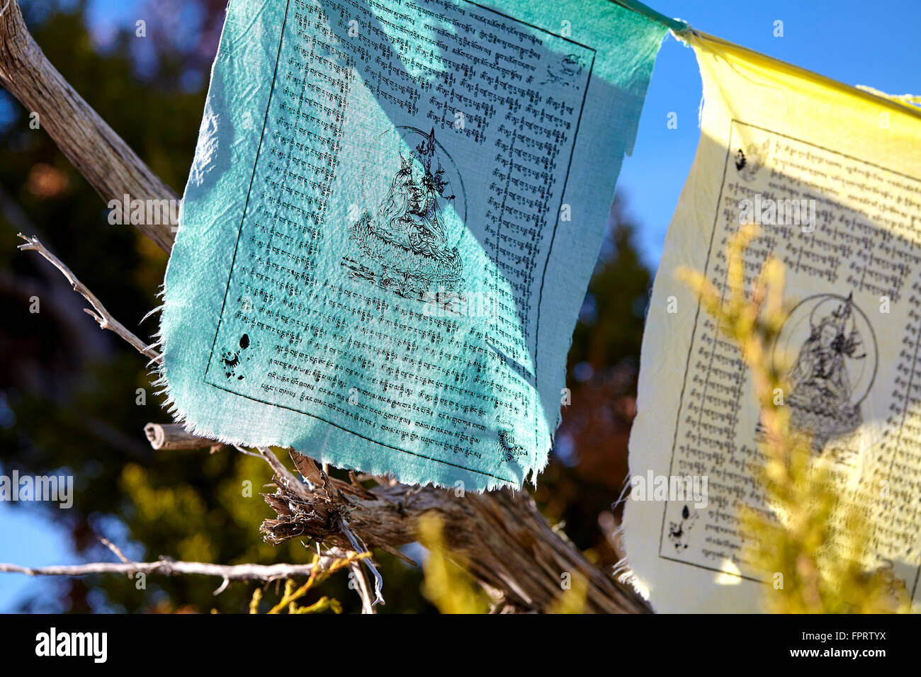 traditional buddhist prayer flags on mountain pine trees in the wind Stock Photo