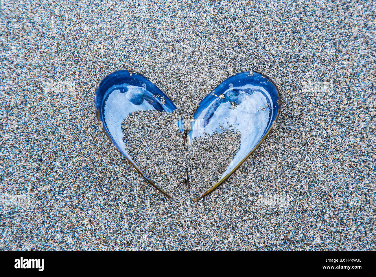 Heart-shaped shell in the sand, Corsica, France Stock Photo