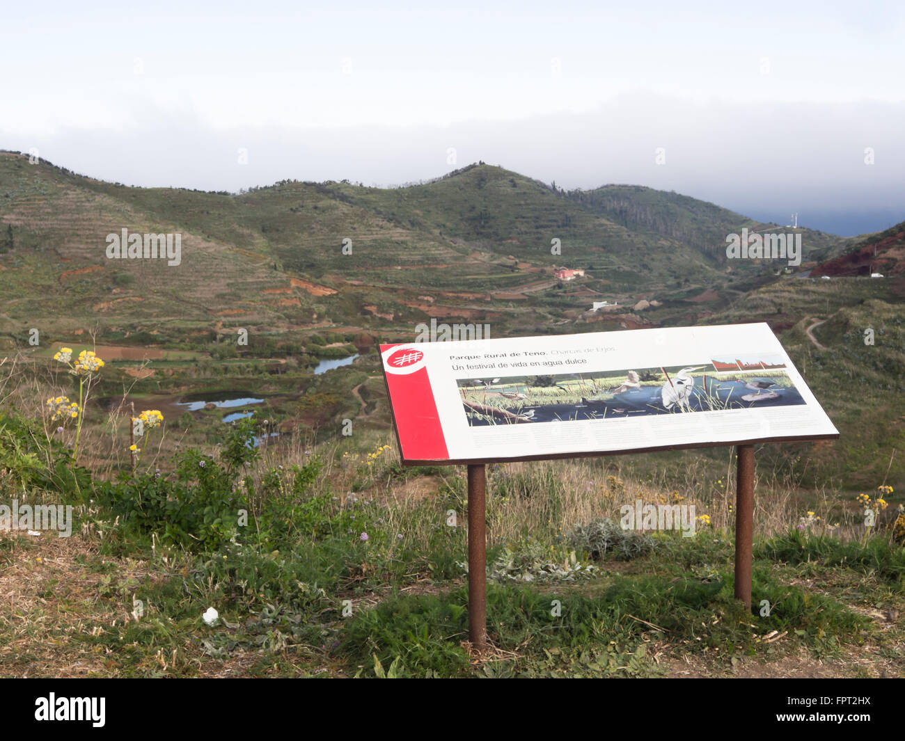 Charcas del Erjos a small wetland area in Tenerife Spain ideal for birds, interpretative board set above Stock Photo