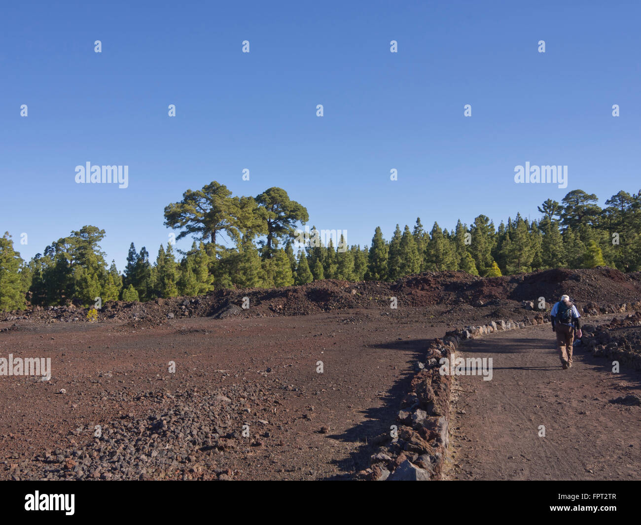 Hiker entering the Chinyero volcano protected area in the Corona Forestal, Tenerife Canary Islands Spain Stock Photo