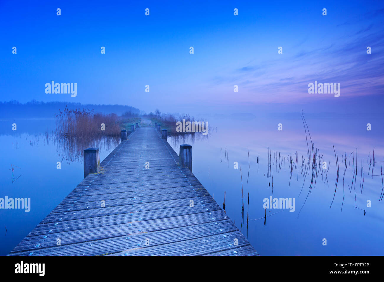 A boardwalk over a still lake on a quiet morning at dawn, near Amsterdam in The Netherlands. Stock Photo