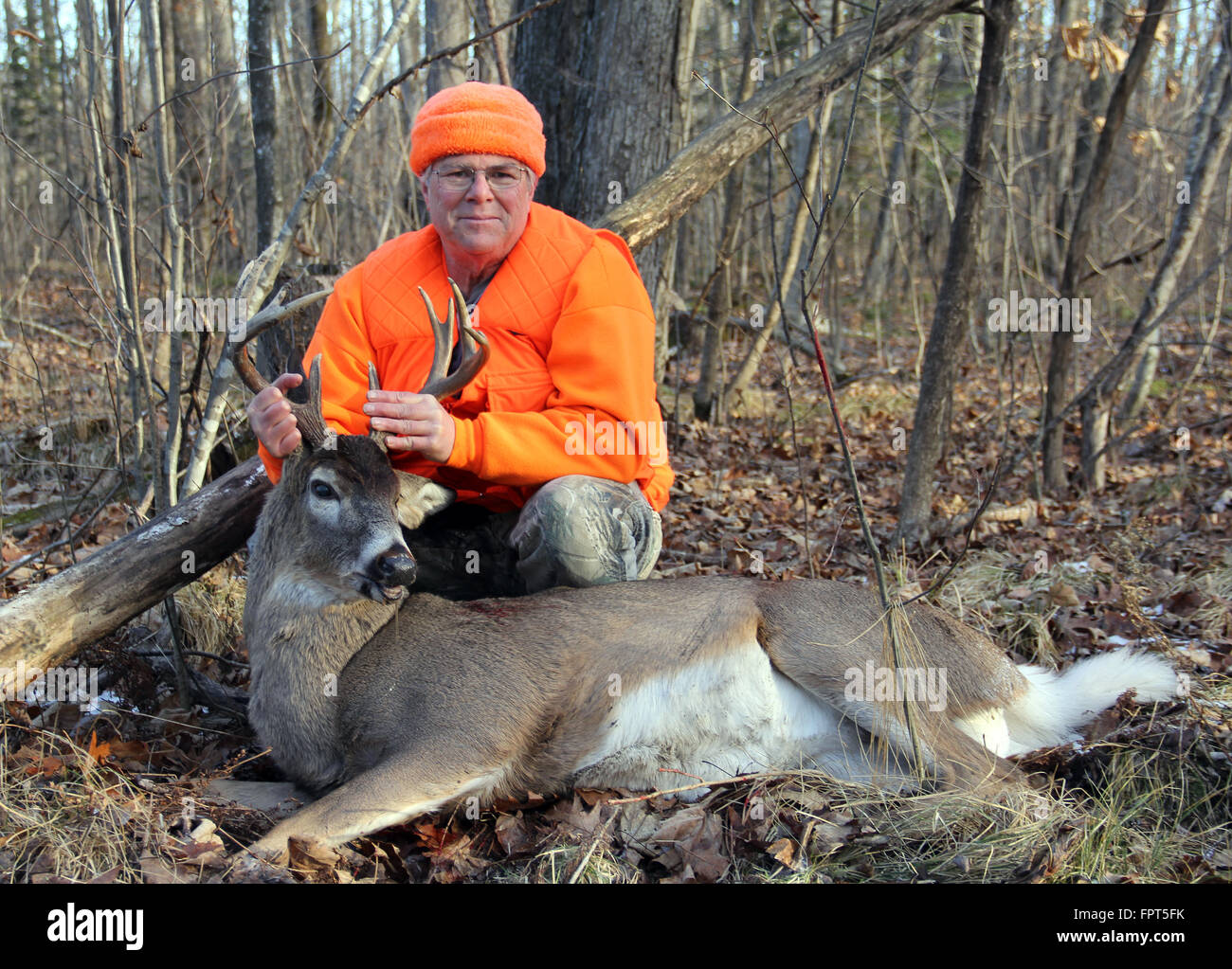 Deer hunter in blaze orange in the woods holding a ten point whitetail buck Stock Photo
