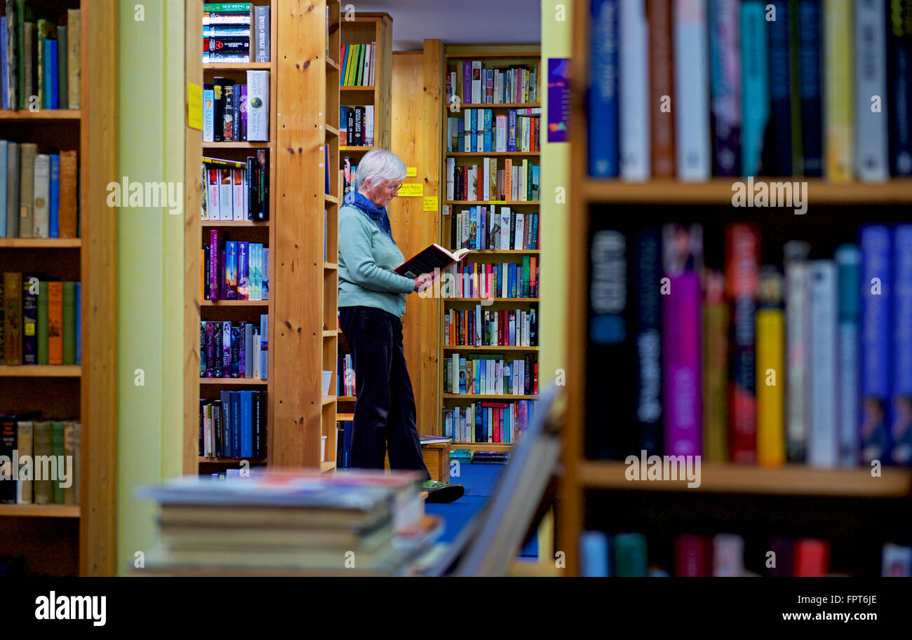 Senior woman reading book in bookshop, at Logie Steading Visitor Centre, Stock Photo