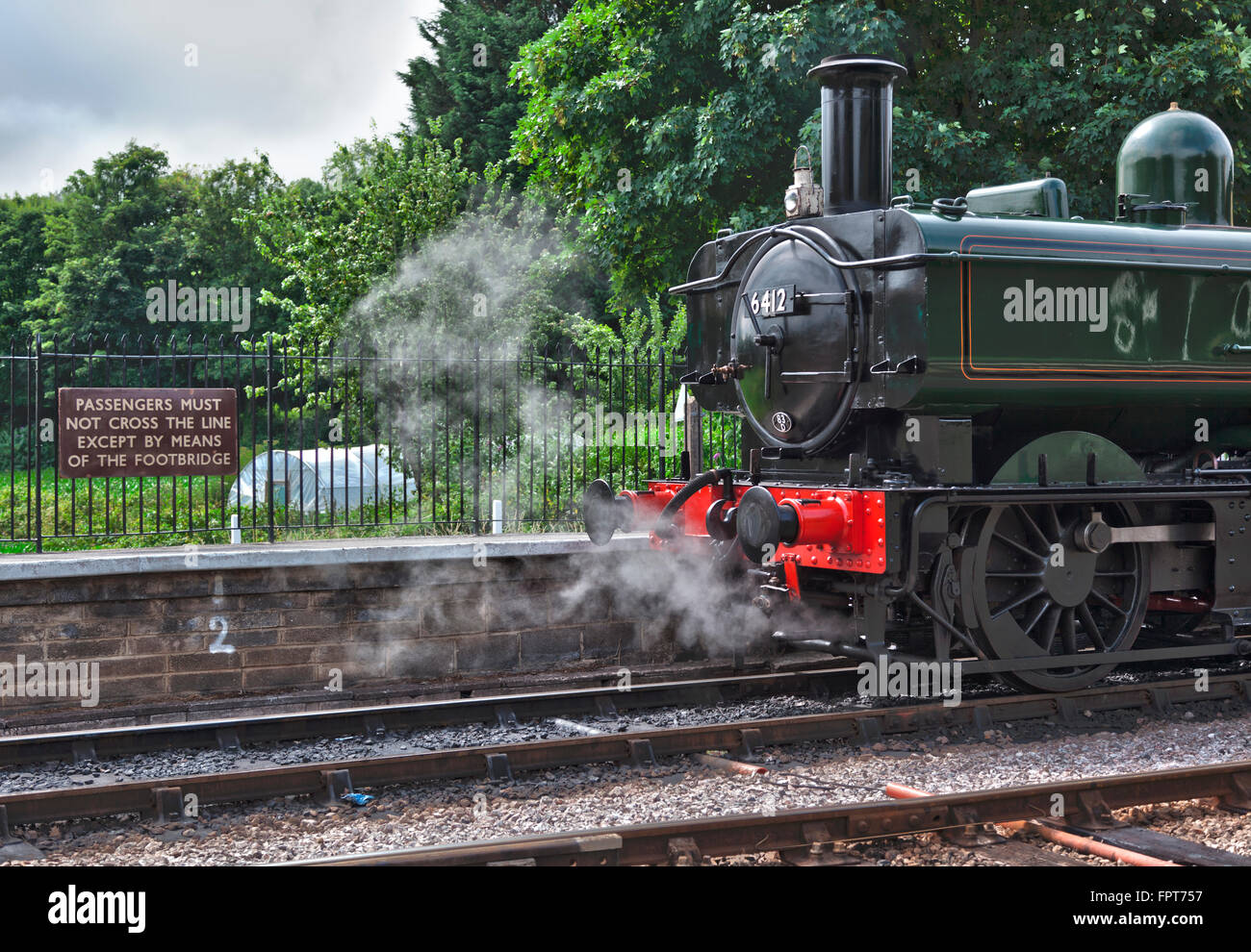 Totnes to Buckfastleigh steam train in Devon Stock Photo